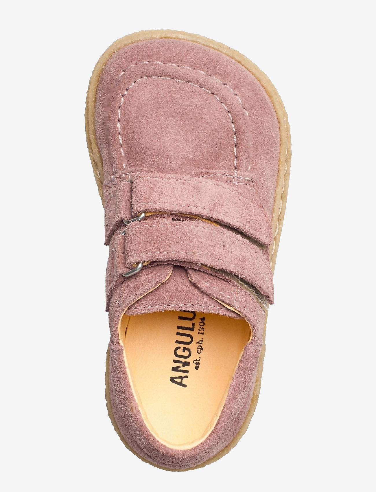 ANGULUS - Shoes - flat - with velcro - 2194 powder - 3