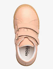 ANGULUS - Shoes - flat - with lace - 1471 peach - 3