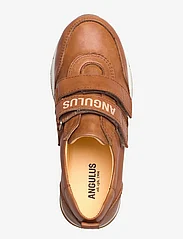 ANGULUS - Shoes - flat - with velcro - sommerschnäppchen - 1789 tan - 3