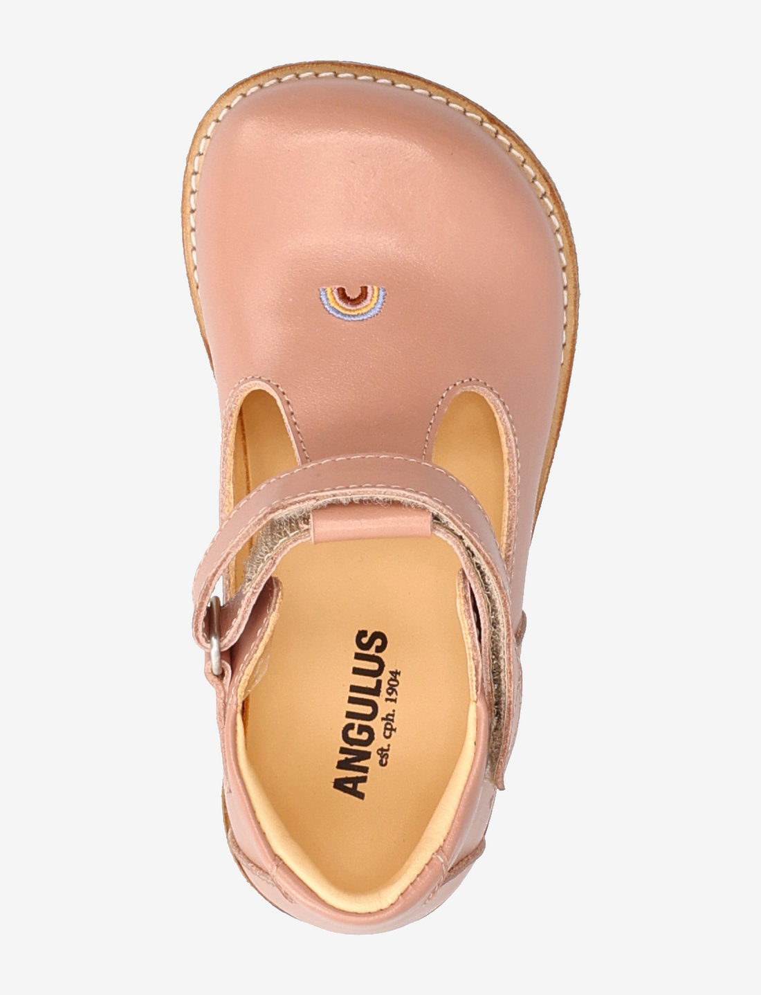 Angulus hot sale sale uk