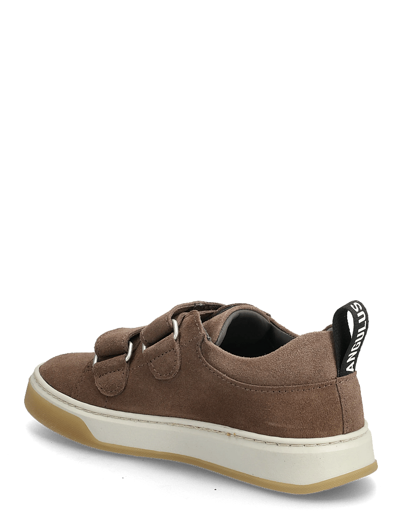 ANGULUS - Shoes - flat - with velcro - lave sneakers - 1780 dark taupe - 2