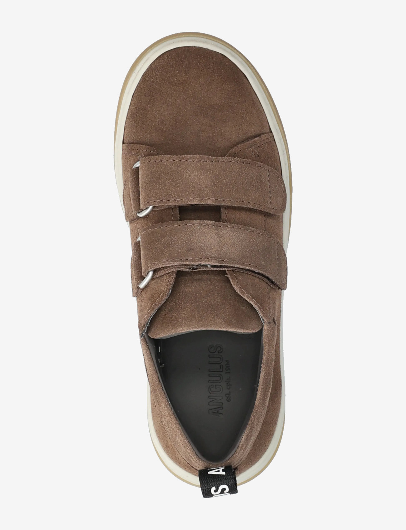 ANGULUS - Shoes - flat - with velcro - lave sneakers - 1780 dark taupe - 3