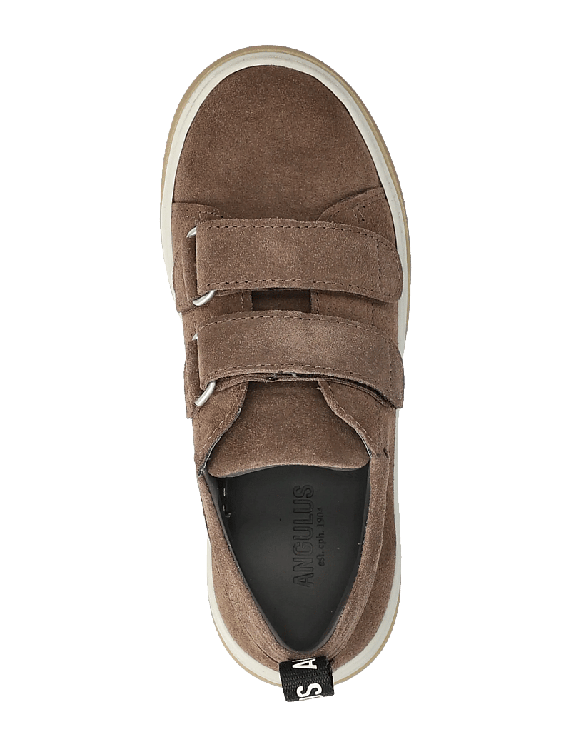 ANGULUS - Shoes - flat - with velcro - lave sneakers - 1780 dark taupe - 3