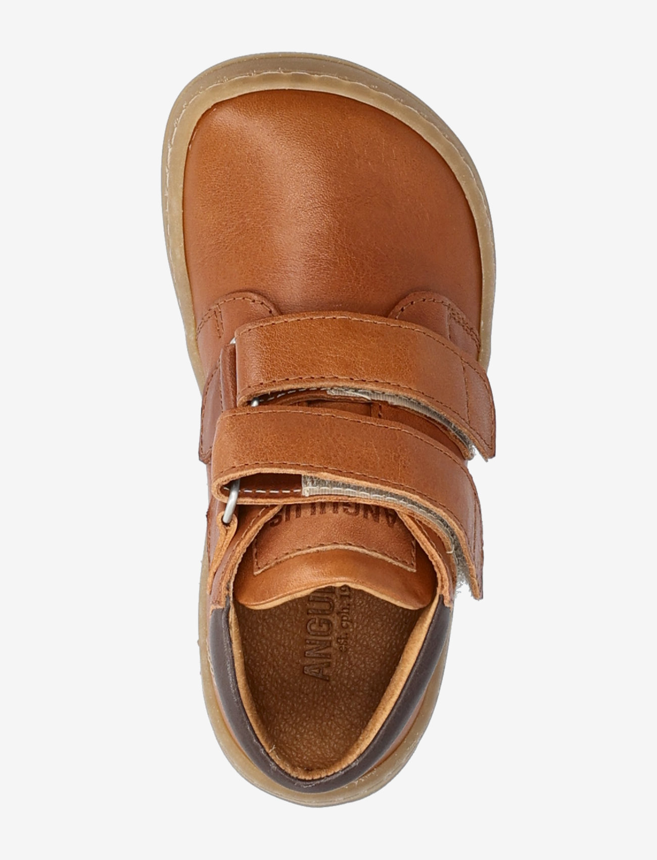 ANGULUS - Shoes - flat - with velcro - 1545/1789/3200 cognac/tan/dark - 3