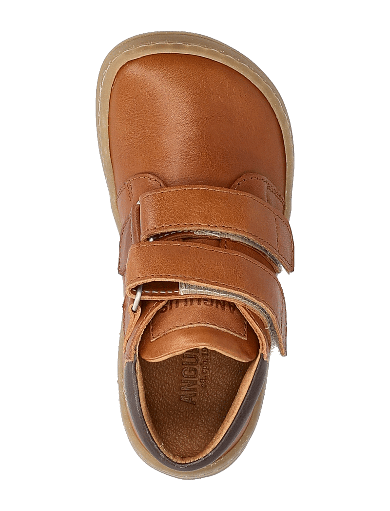 ANGULUS - Shoes - flat - with velcro - høje sneakers - 1545/1789/3200 cognac/tan/dark - 3