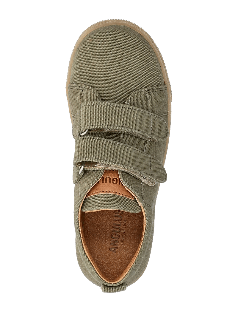 ANGULUS - Shoes - flat - with velcro - kõrge säärega tossud - 4015/1789 forrest/tan - 3