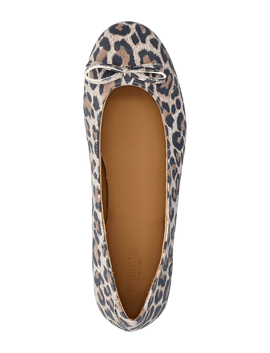 ANGULUS - Ballerina - shoes - 3609 leopard suede - 3