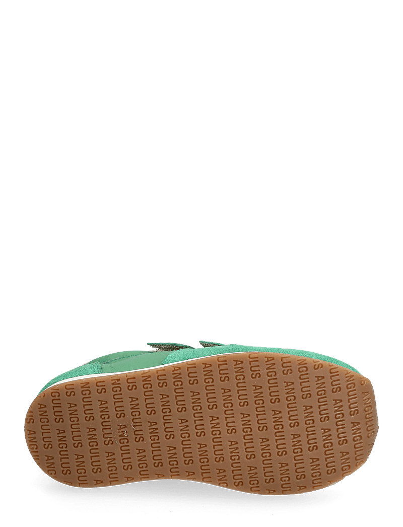 ANGULUS - Shoes - flat - with velcro - lave sneakers - 2736/2717/4636 grass green/gra - 4
