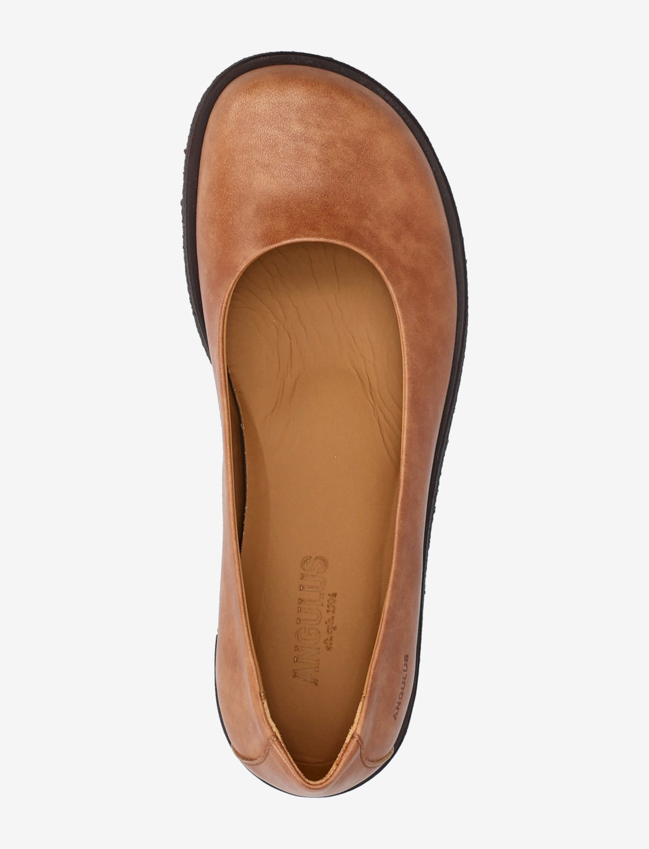 ANGULUS - Ballerina - speciella tillfällen - 1789 tan - 3