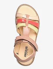 ANGULUS - Sandals - flat - open toe - op - sandalen - 1305/1304/1318/1320 d.peach/pe - 3