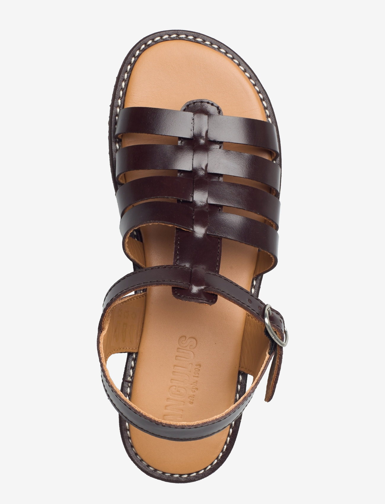 ANGULUS - Sandals - flat  - open toe - op - fødselsdagsgaver - 1836 dark brown - 3