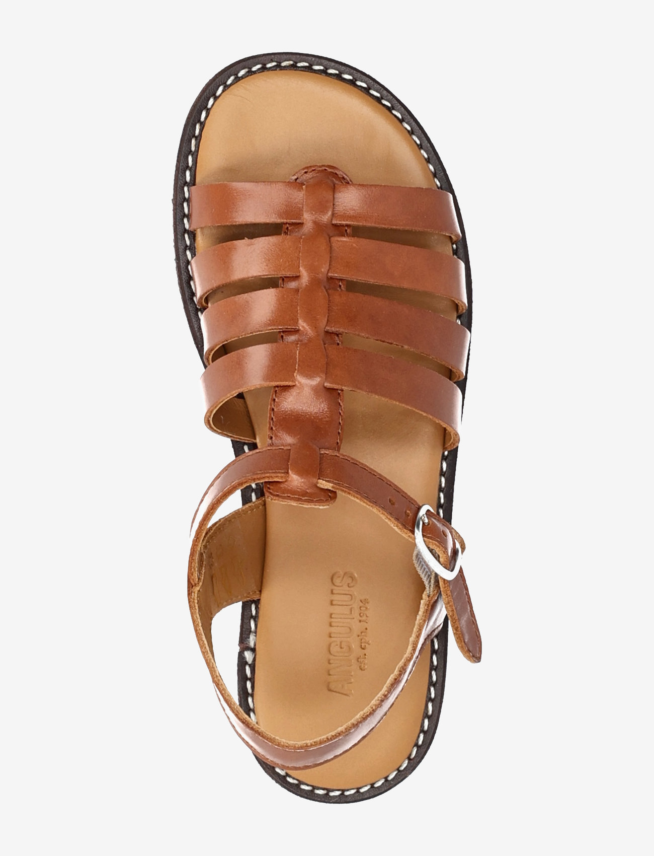 ANGULUS - Sandals - flat  - open toe - op - sünnipäevakingitused - 1838 cognac - 3