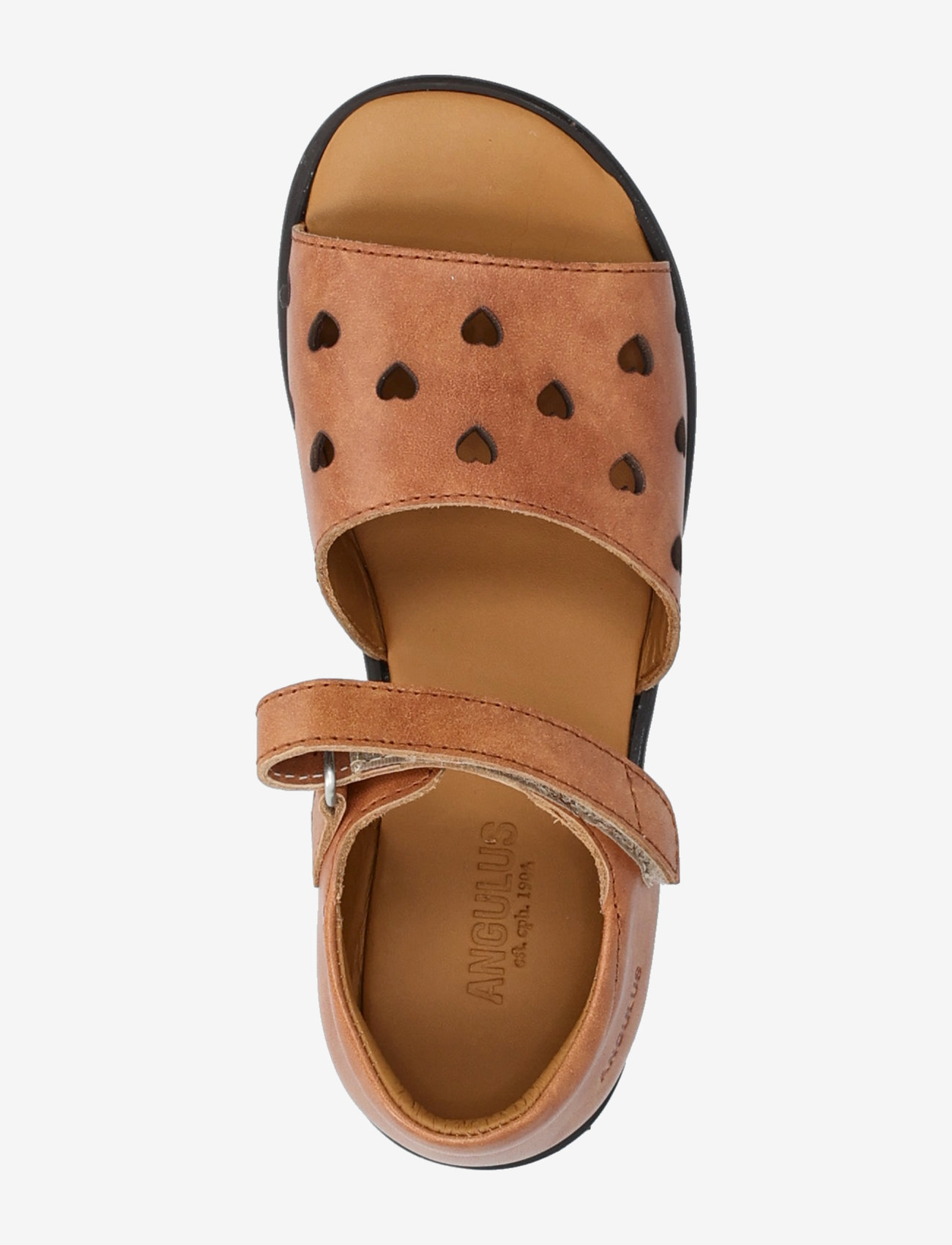 ANGULUS - Sandals - flat  - open toe - op - sünnipäevakingitused - 1789 tan - 3