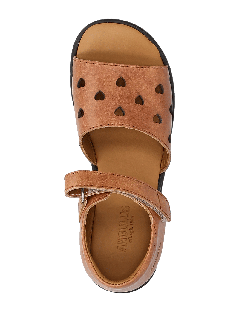 ANGULUS - Sandals - flat - open toe - op - skor - 1789 tan - 3