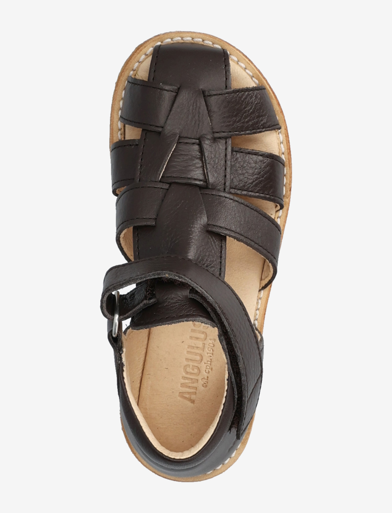 ANGULUS - Sandals - flat  - closed toe - kingad - 3200 dark brown - 3