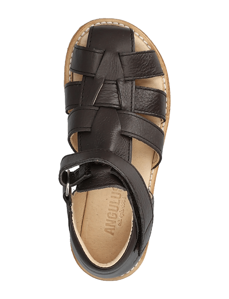 ANGULUS - Sandals - flat - closed toe - kingad - 3200 dark brown - 3