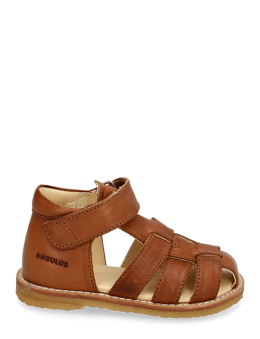ANGULUS - Sandals - flat - closed toe - - shoes - 1545 cognac - 2