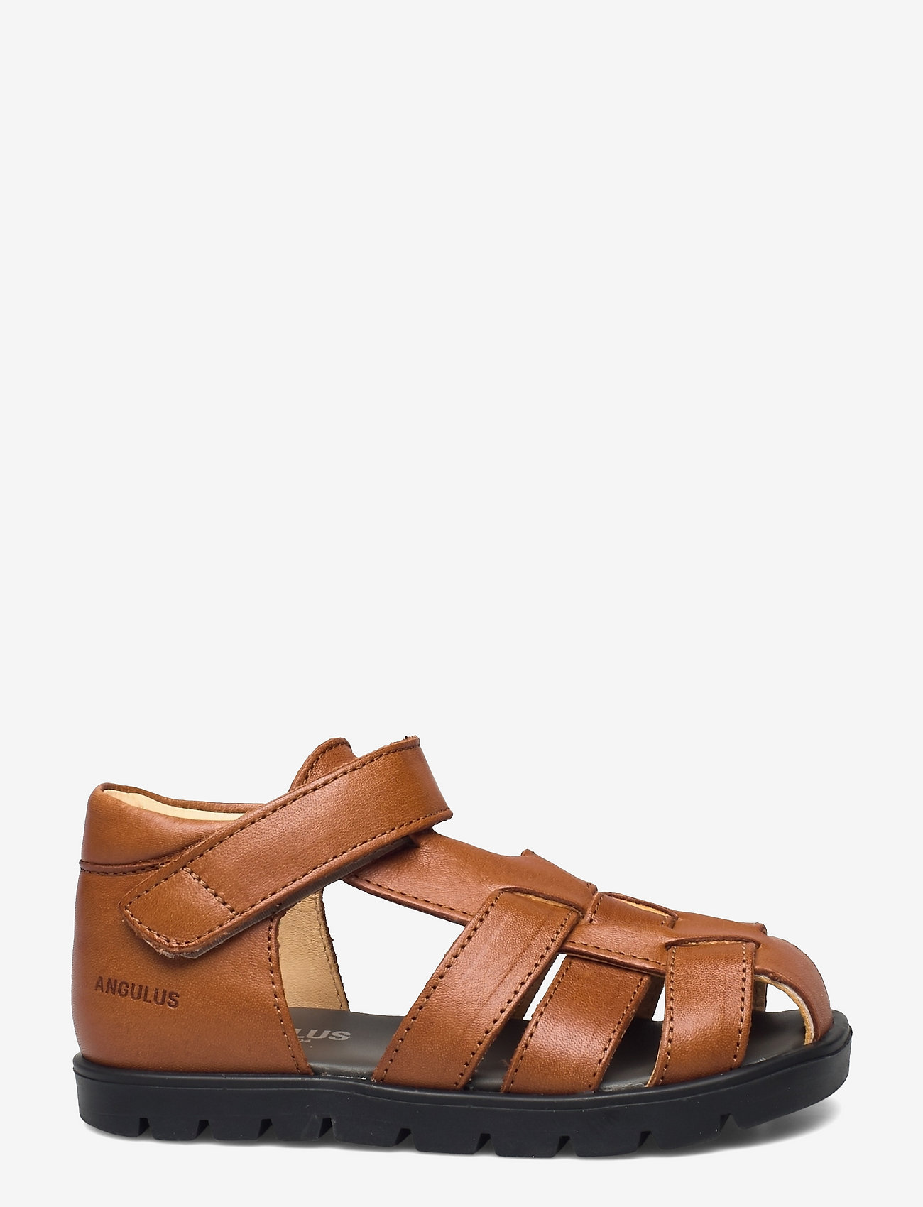 ANGULUS - Sandals - flat - closed toe -  - 1545 cognac - 1