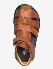 ANGULUS - Sandals - flat - closed toe -  - 1545 cognac - 3
