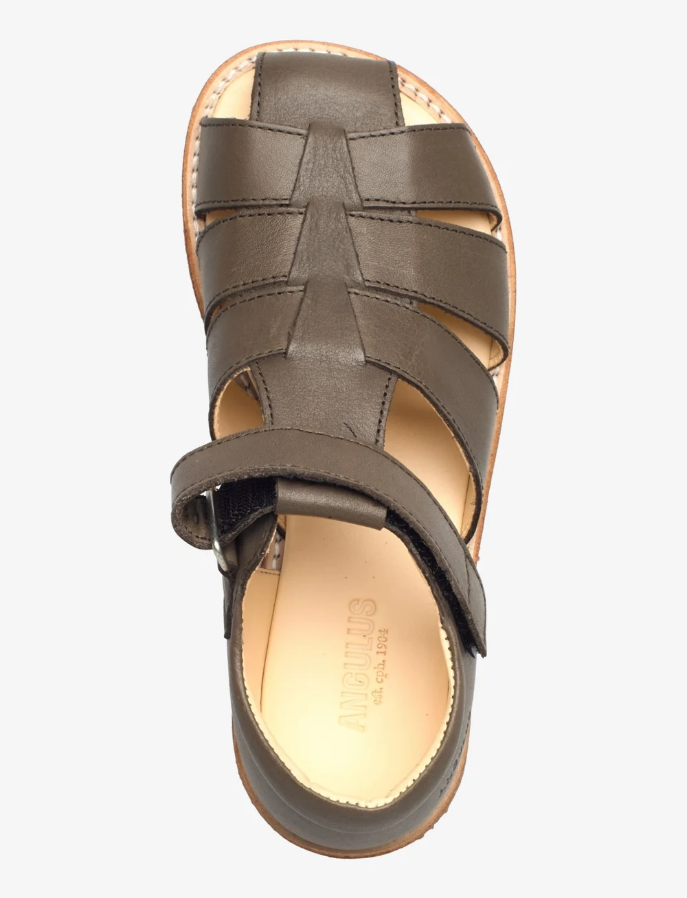 ANGULUS - Sandals - flat  - closed toe - avalynė - 3207 forrest - 3