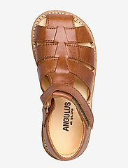 ANGULUS - Sandals - flat - closed toe -  - sandaler med rem - 1838 cognac - 3
