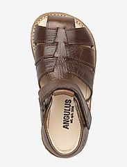 ANGULUS - Sandals - flat - closed toe -  - siksniņu sandales - 2509 cognac - 3