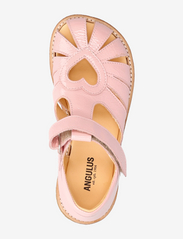 ANGULUS - Sandals - flat - closed toe - - sommarfynd - 1303 rosa - 3