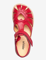 ANGULUS - Sandals - flat - closed toe -  - sandaler med rem - 1412 red - 3