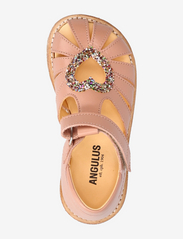 ANGULUS - Sandals - flat - closed toe - - vasaras piedāvājumi - 1470/2488 dark peach/multi gli - 3
