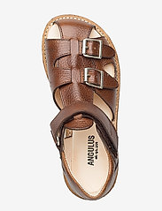 ANGULUS - Sandals - flat - closed toe -  - strap sandals - 2509 cognac - 3