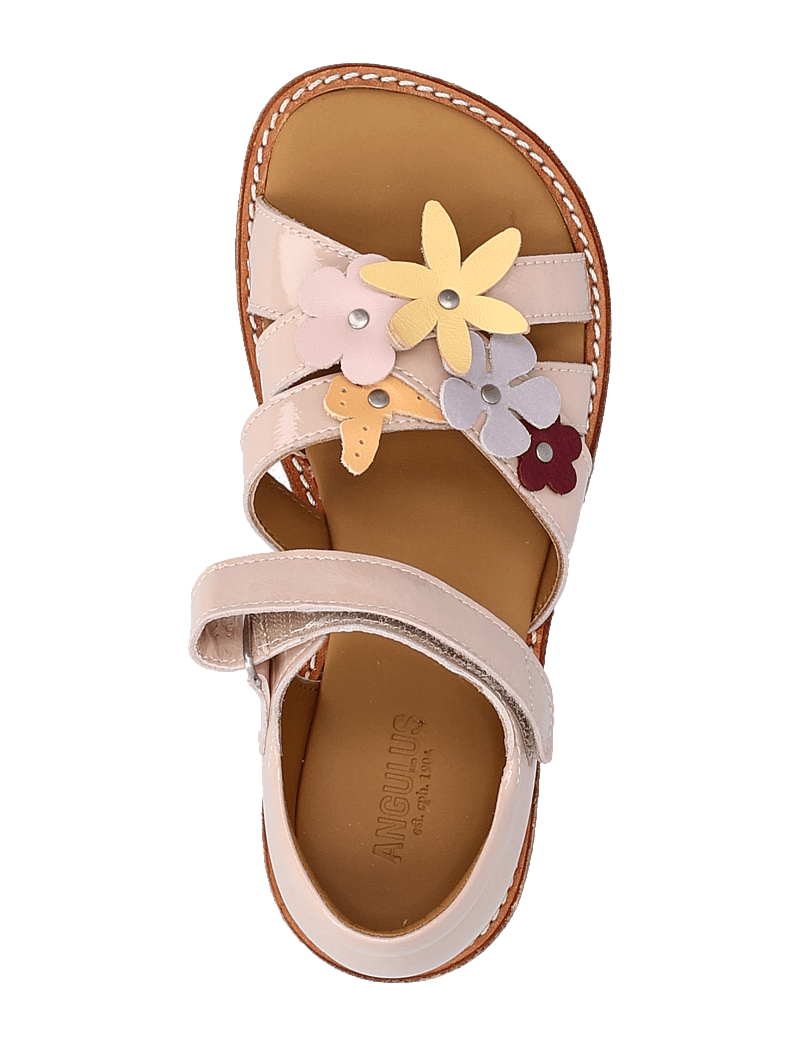 ANGULUS - Sandals - flat - open toe - clo - kingad - 3282 rosebud - 4