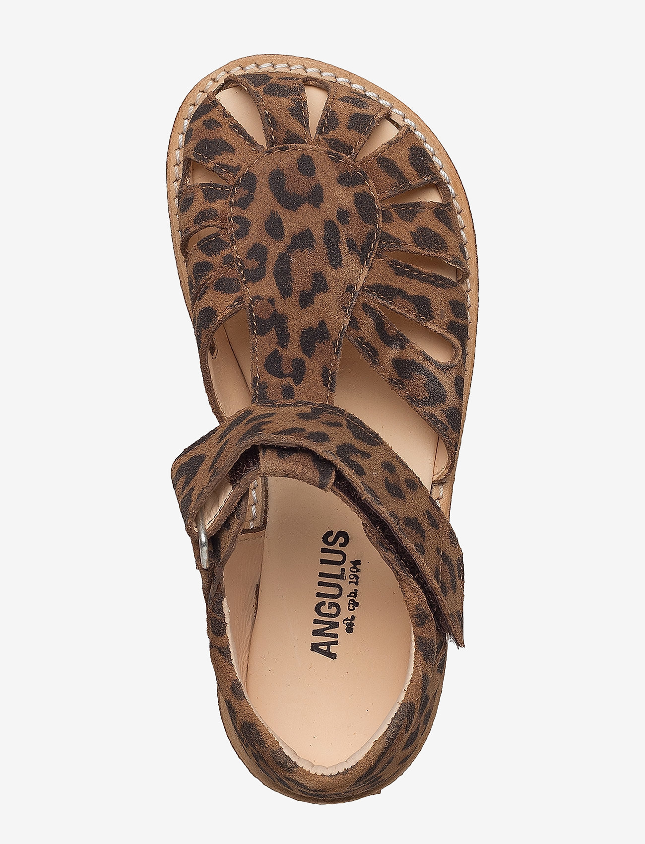 ANGULUS - Sandals - flat - closed toe -  - 2164 leopard - 3