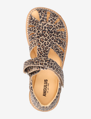 ANGULUS - Sandals - flat - closed toe -  - sandalai su dirželiu - 2185 leopard - 3