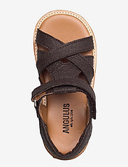 ANGULUS - Sandals - flat - open toe - clo - gode sommertilbud - 2499 brown vegan - 3