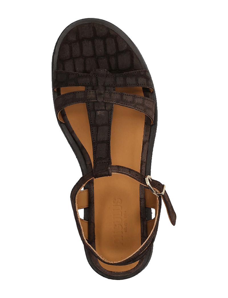 ANGULUS - Sandals - flat - gladiator sandals - 4640 dark brown croco - 3