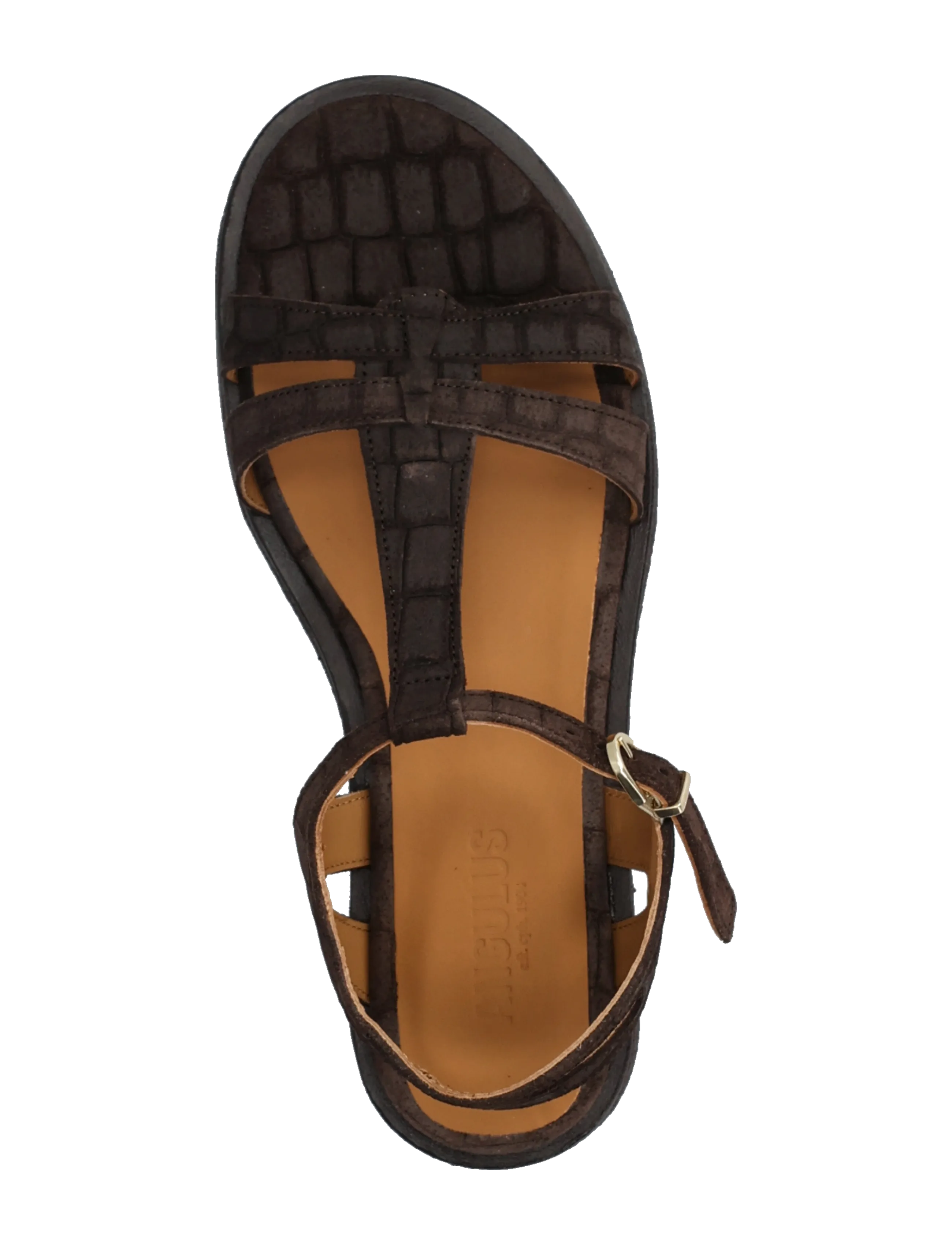 ANGULUS - Sandals - flat - gladiator-sandalen - 4640 dark brown croco - 3