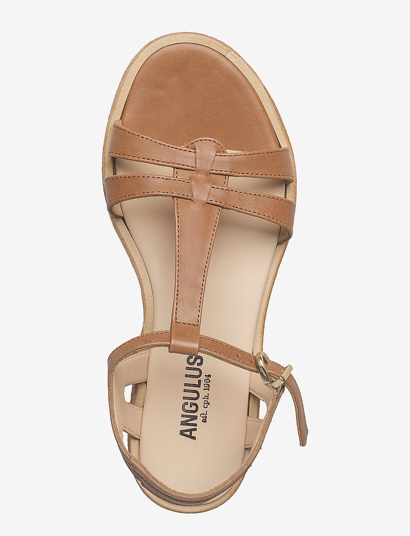 ANGULUS - Sandals - flat - flat sandals - 1789 tan - 4