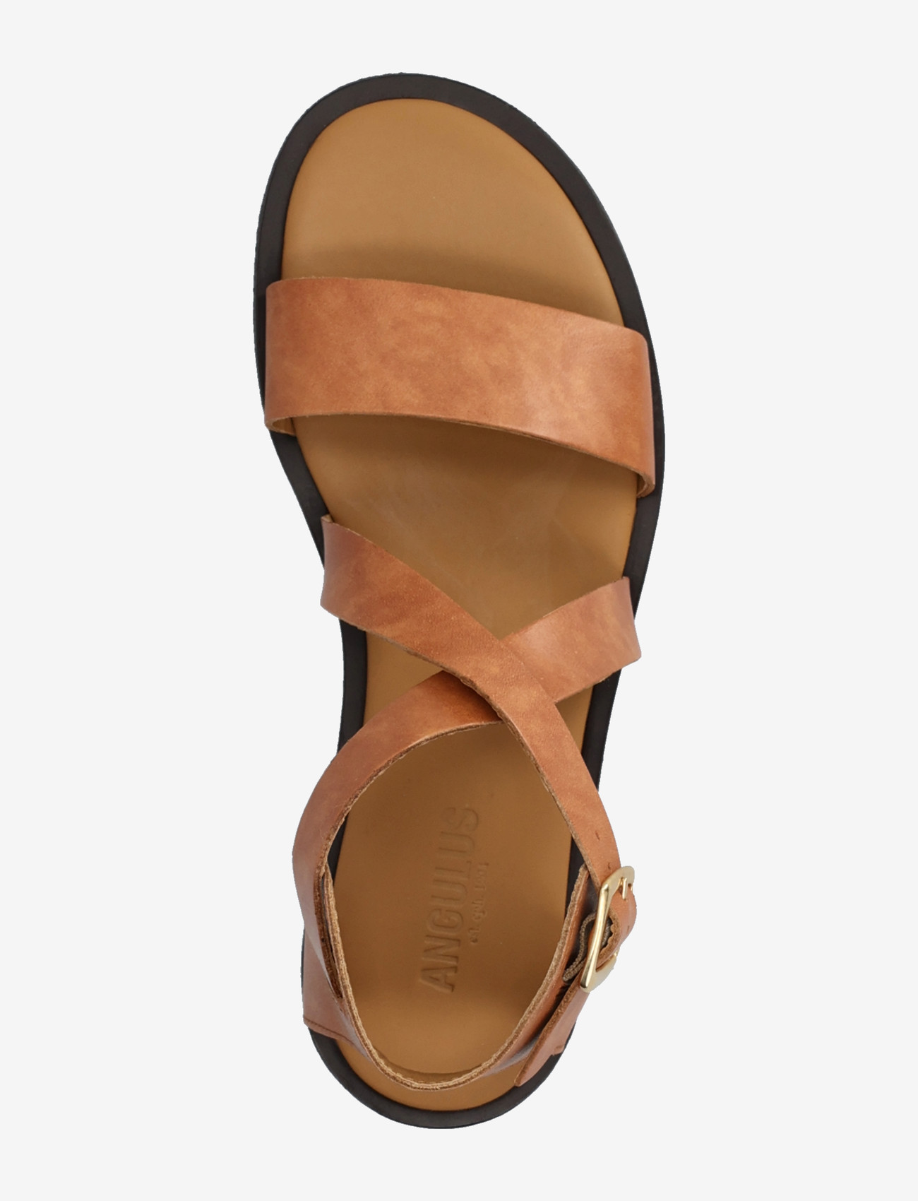 ANGULUS - Sandals - flat  - open toe - op - gladiatorsandaler - 3637 tan - 3