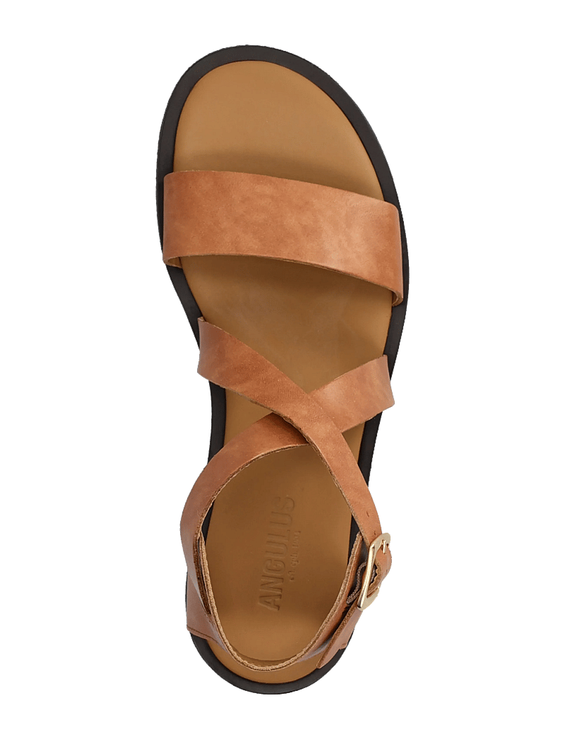 ANGULUS - Sandals - flat - open toe - op - gladiatorsandaler - 3637 tan - 3