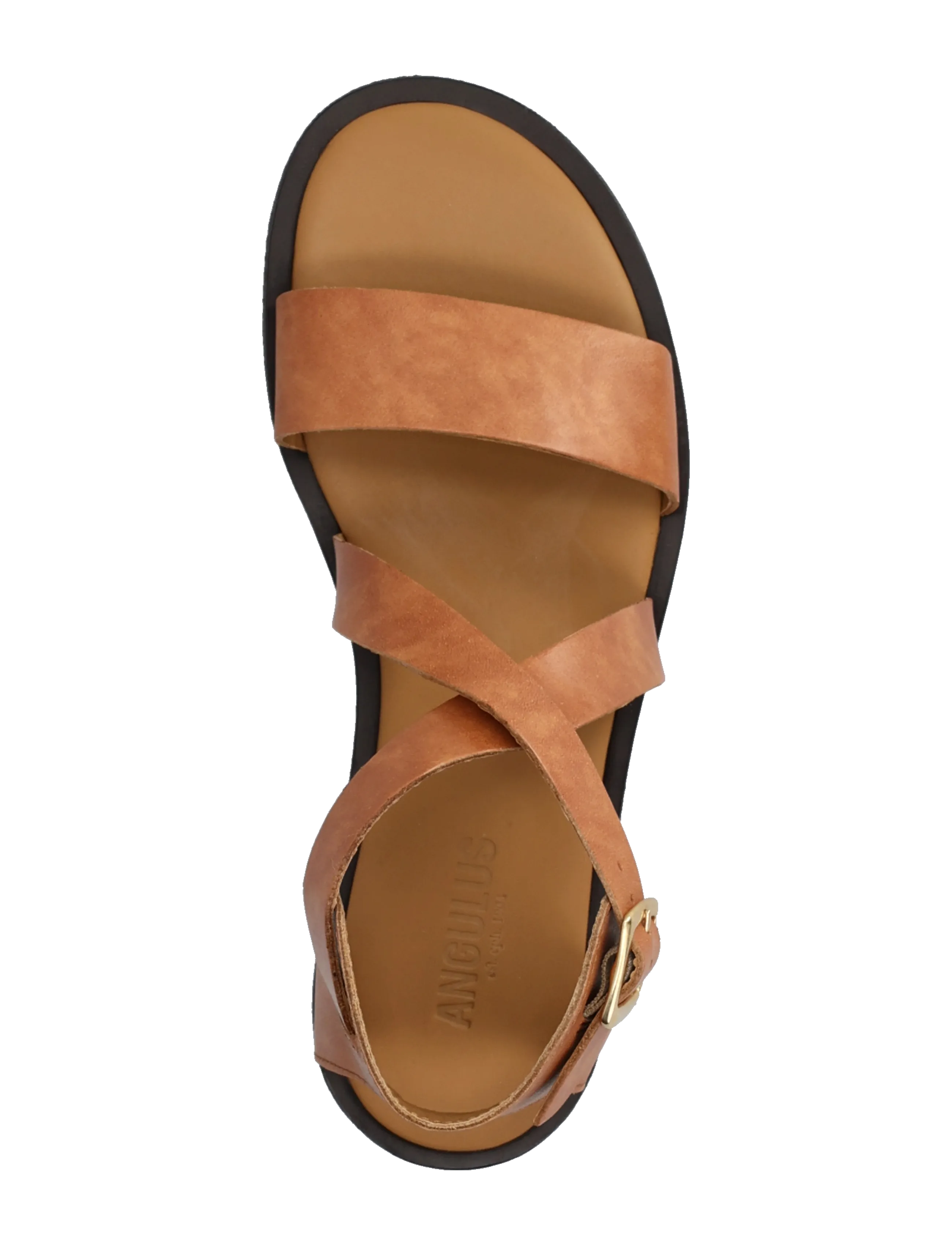 ANGULUS - Sandals - flat  - open toe - op - gladiaator sandaalid - 3637 tan - 3