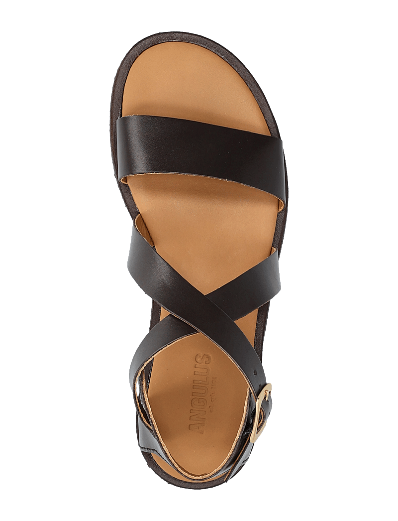 ANGULUS - Sandals - flat - open toe - op - platta sandaler - 3639 dark brown - 4