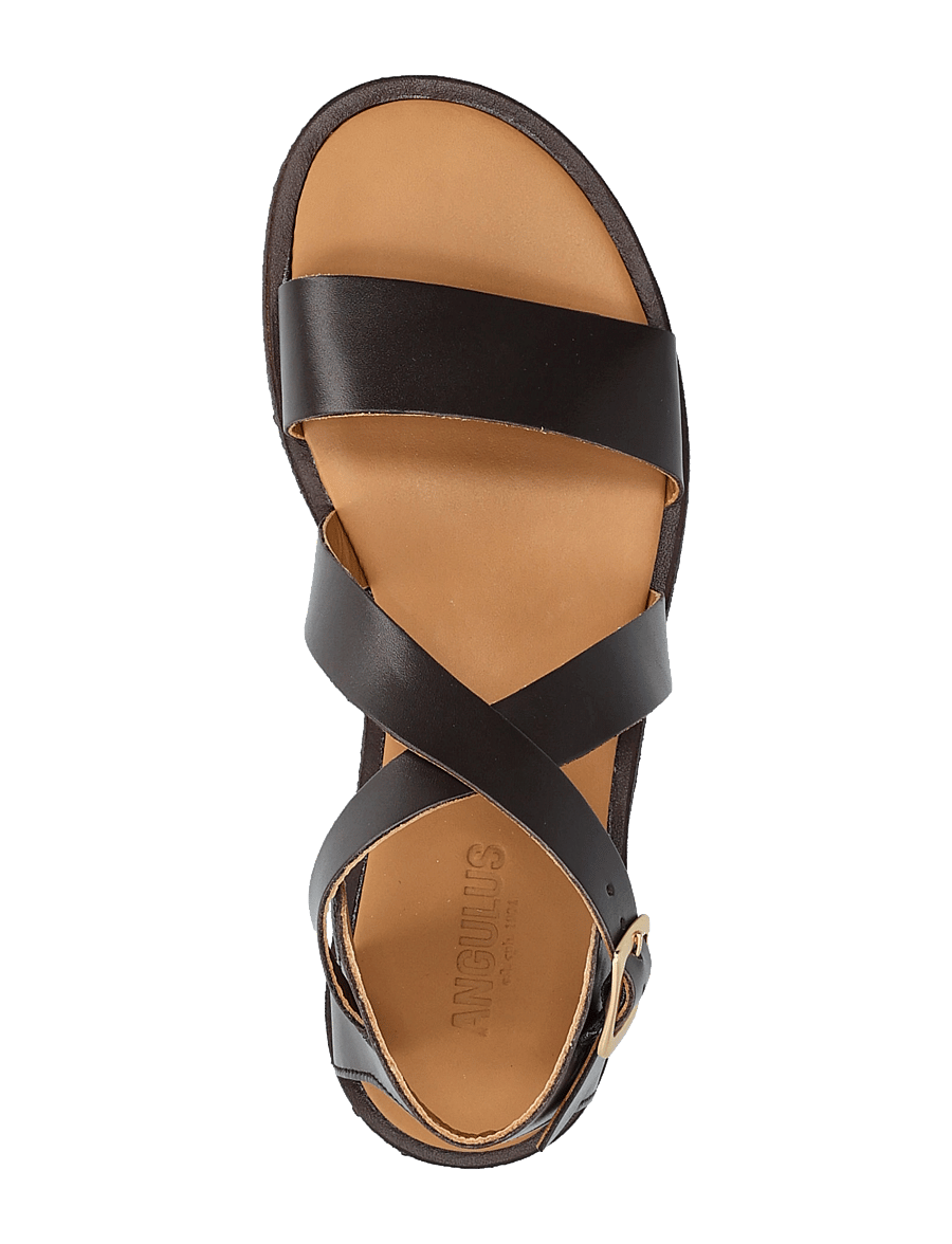 ANGULUS - Sandals - flat - open toe - op - romeinse sandalen - 3639 dark brown - 4