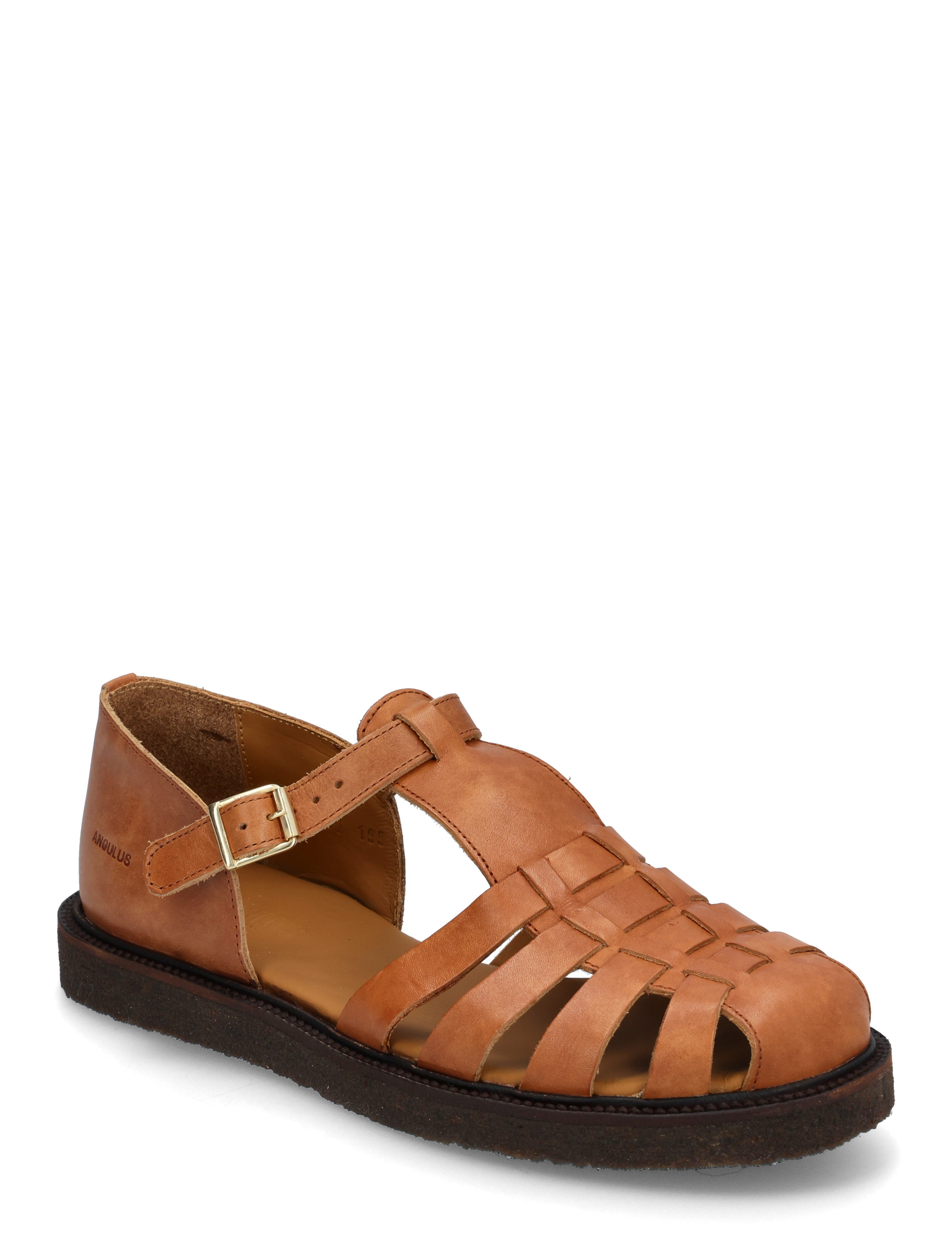 3637 TAN
