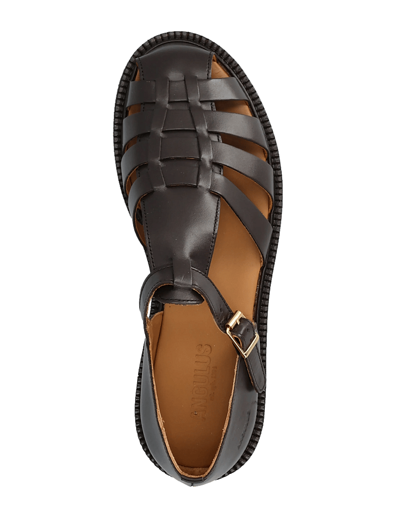 ANGULUS - Sandals - flat - closed toe - op - gladiator sandals - 3639 dark brown - 3