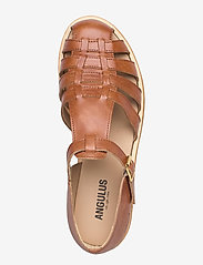 ANGULUS - Sandals - flat - closed toe - op - zempapēžu sandales - 1789 tan - 3