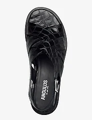 ANGULUS - Sandals - flat - open toe - op - 1674 black croco - 3