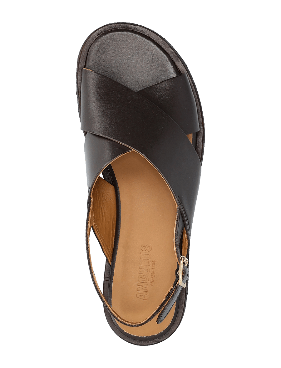 ANGULUS - Sandals - flat - open toe - op - flat sandals - 3639 dark brown - 4
