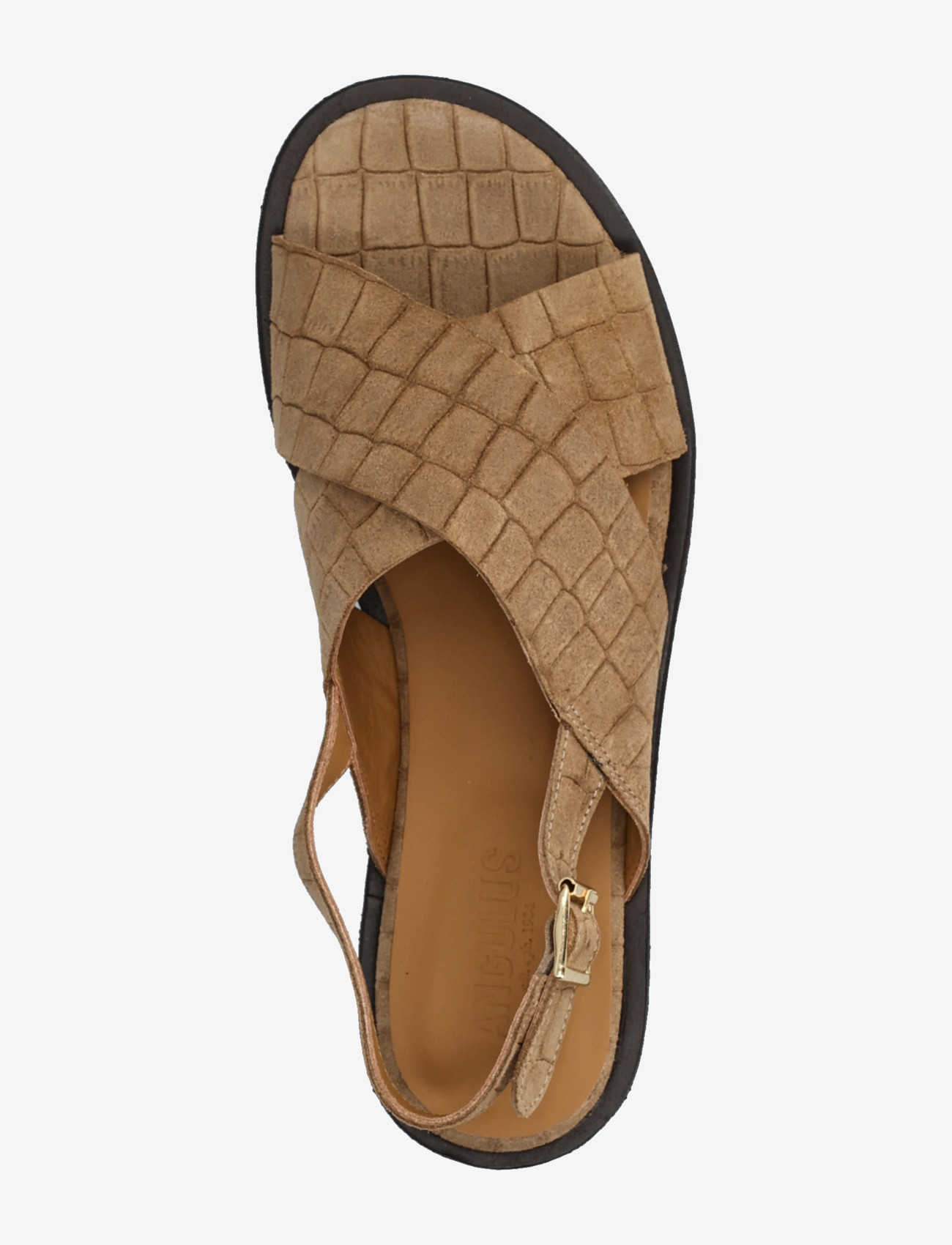 ANGULUS - Sandals - flat  - open toe - op - flade sandaler - 4639 dessert croco - 3