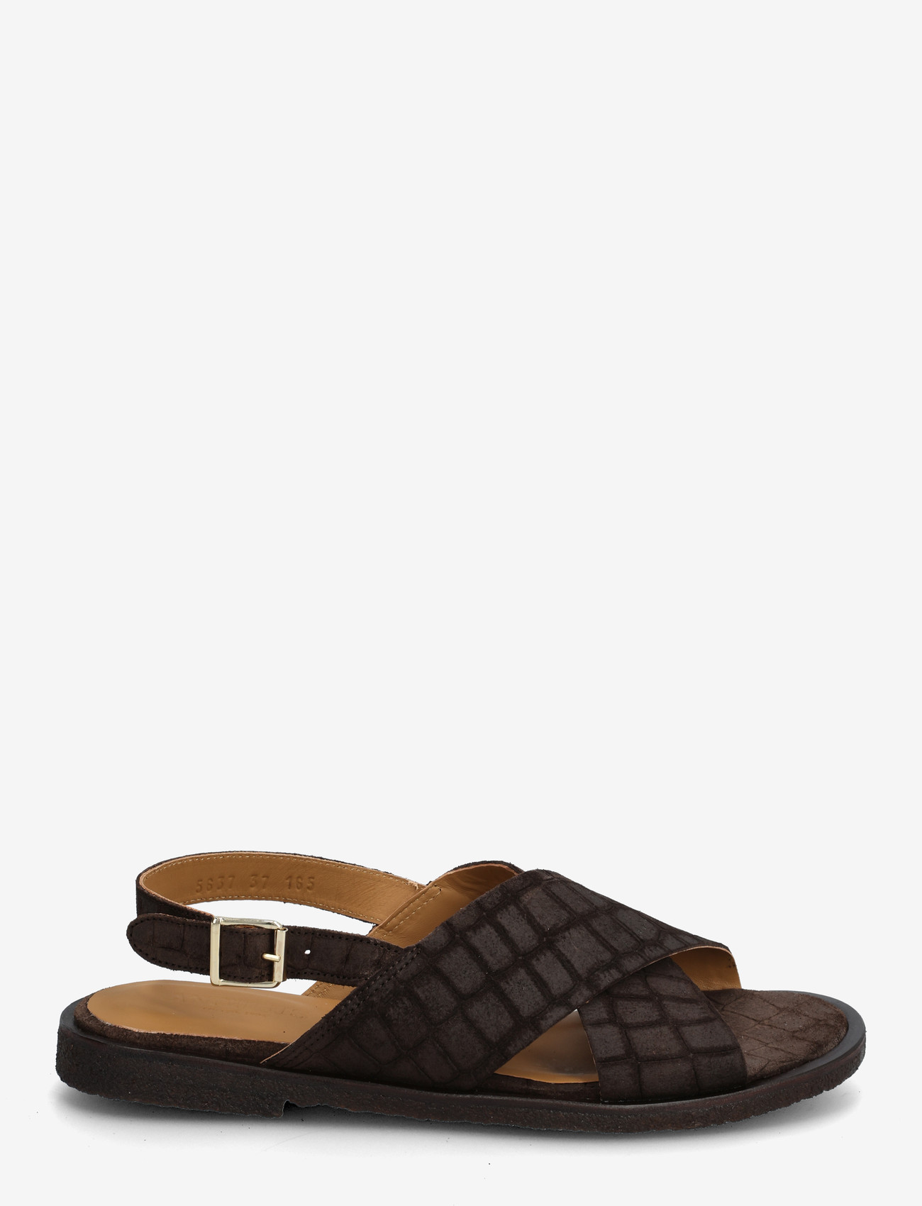 ANGULUS - Sandals - flat  - open toe - op - flade sandaler - 4640 dark brown croco - 1