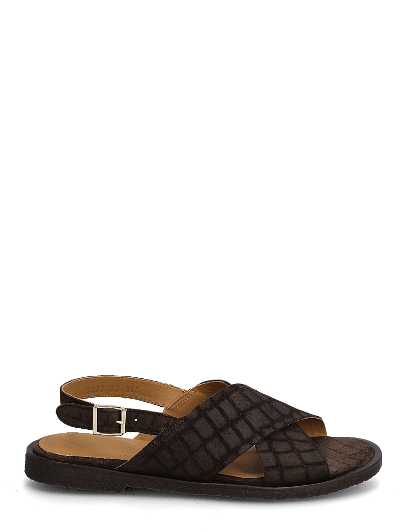 ANGULUS - Sandals - flat - open toe - op - flade sandaler - 4640 dark brown croco - 1